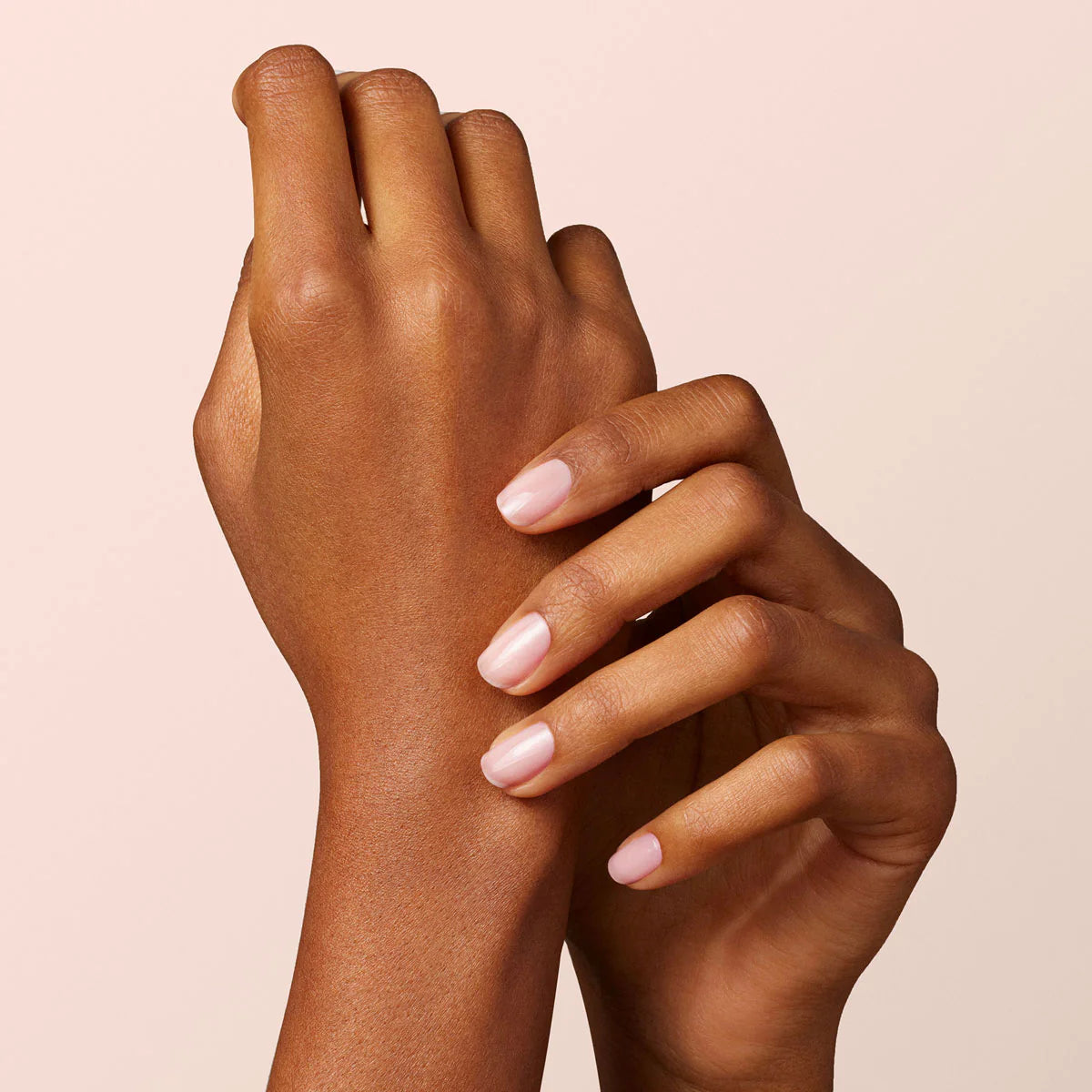 Hortencia - Хортензия