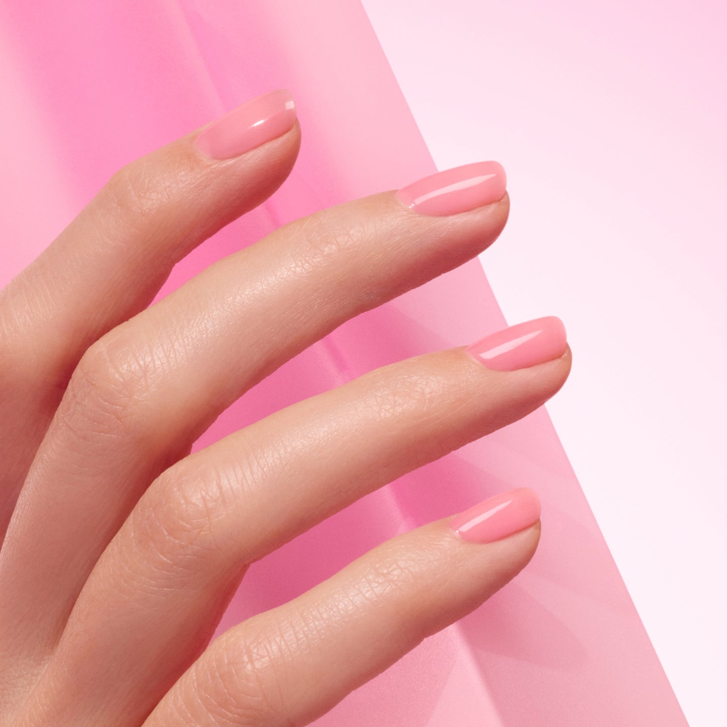 Pink Sorbet Jelly
